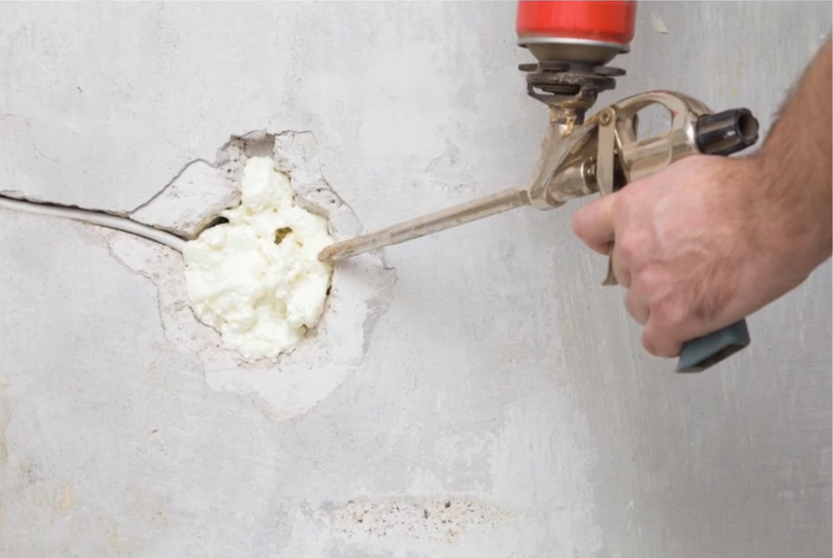 rodent control Bend OR technician