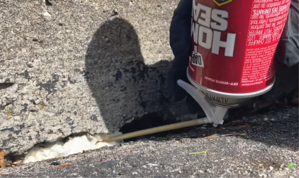 emergency rodent removal in Bend